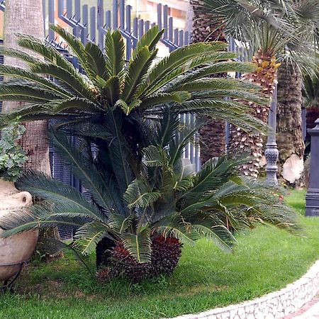 Hotel Ristorante Donato Calvizzano Ngoại thất bức ảnh